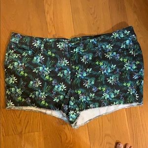 Lilo and Stitch Shorts